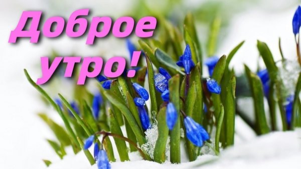 С добрым весенним снежным утром