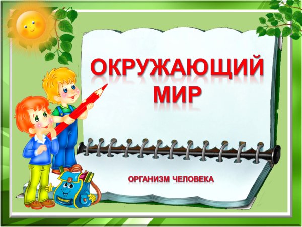 Урок окружающего мира