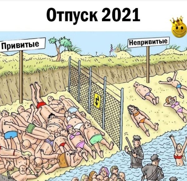 Дно смешные картинки