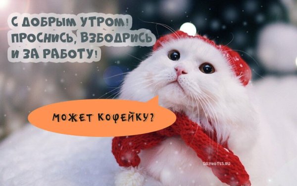 Доброе утро зима прикольные
