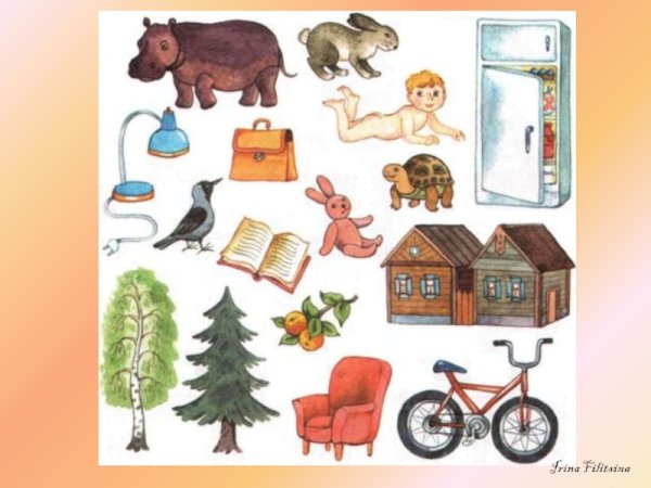 Живые и неживые предметы для дошкольников