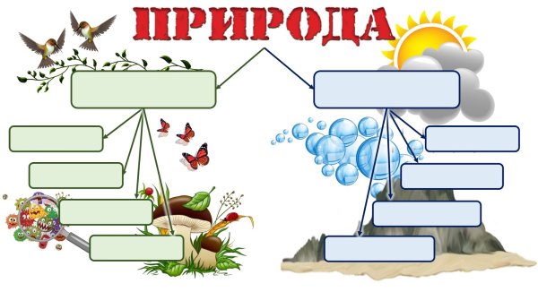 Связи в живой природе 1 класс