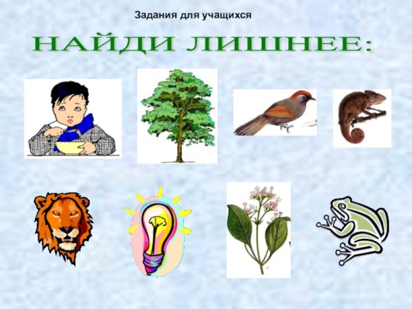 Живая и неживая природа задания для дошкольников