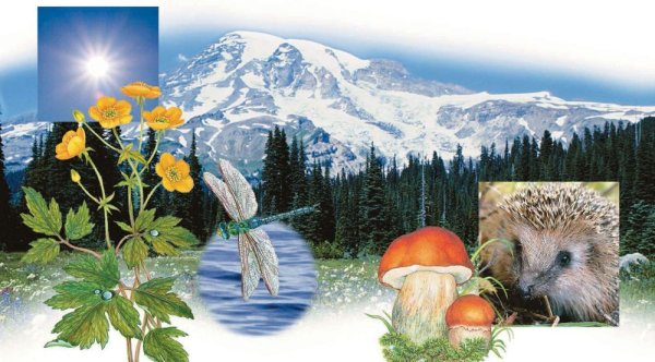 Объекты живой природы