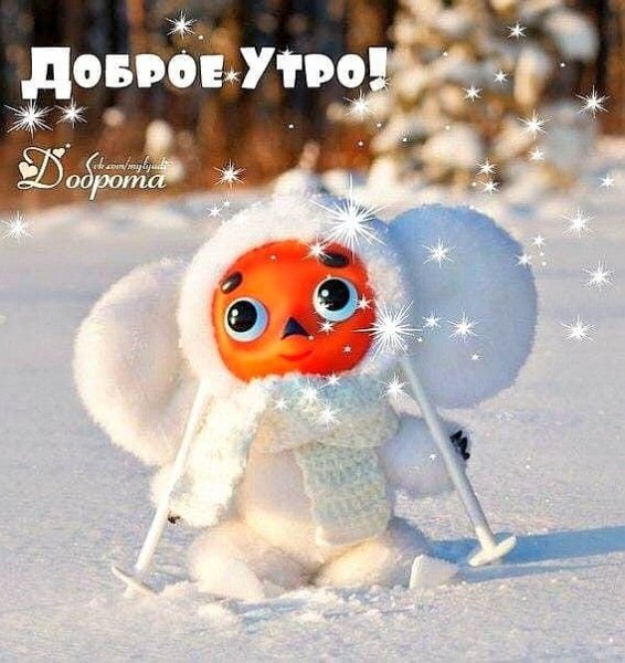 Доброе утро зимнее прикольное