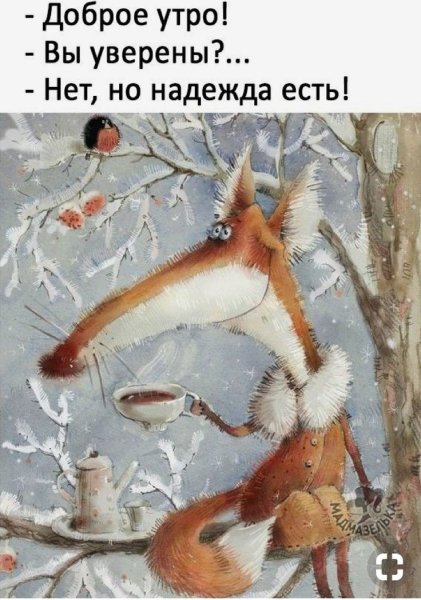 Доброе утро лиса