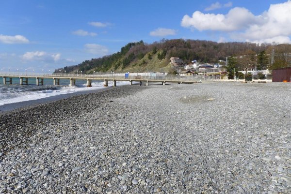 Сочи поселок Дагомыс база Светлана