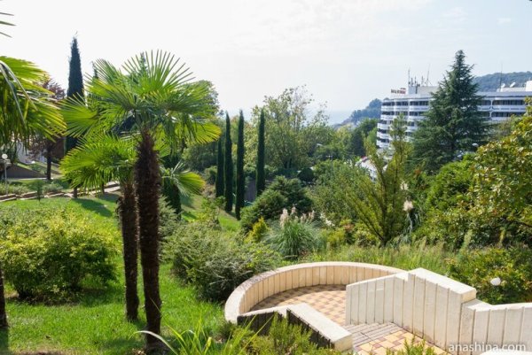 Николаевский дендропарк Дагомыс