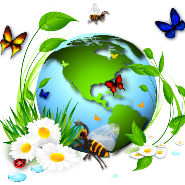 Детям об экологии