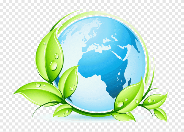 Экология символика