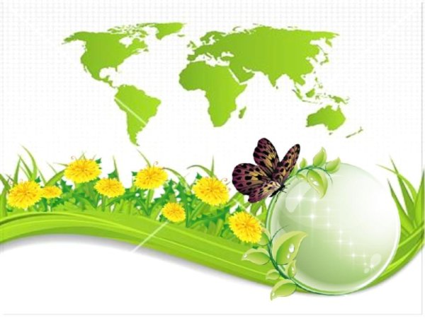 Любите и охраняйте природу