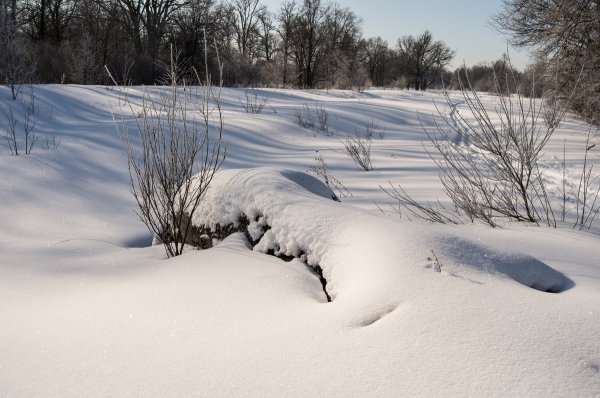Снежный Покров
