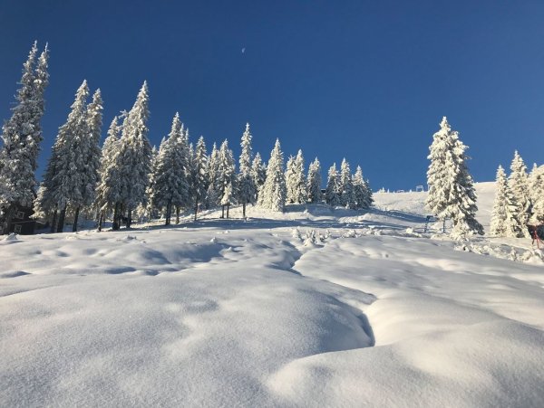 Снежный Покров снег