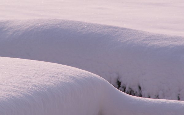 Снежный Покров