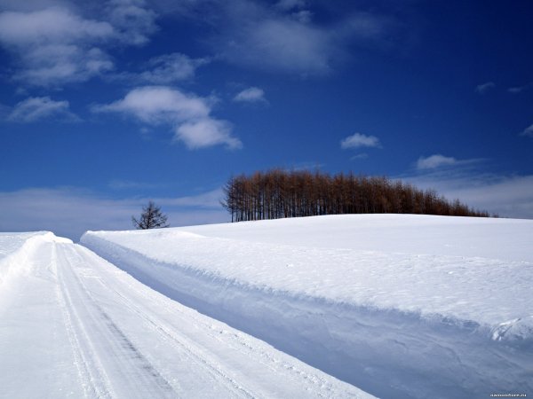 Сугробы зимой