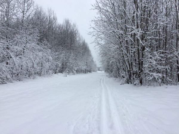 Зима снежный Покров