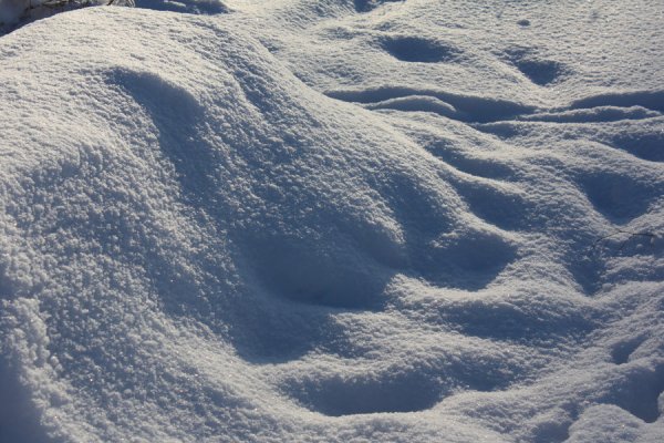 Сугроб из голубого снега