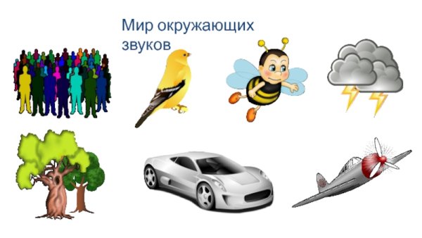 Звуки в окружающем мире