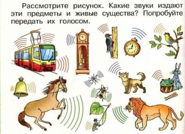 Предметы которые издают звуки