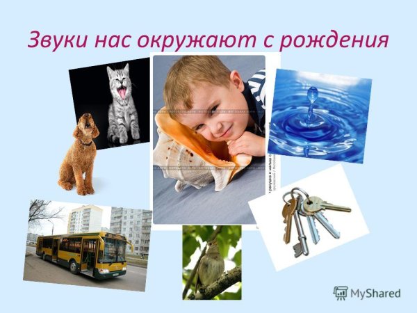 Звуки которые нас окружают