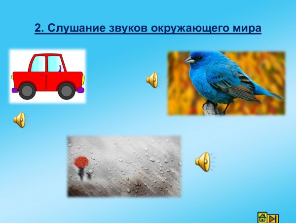 Звуки окружающий мир