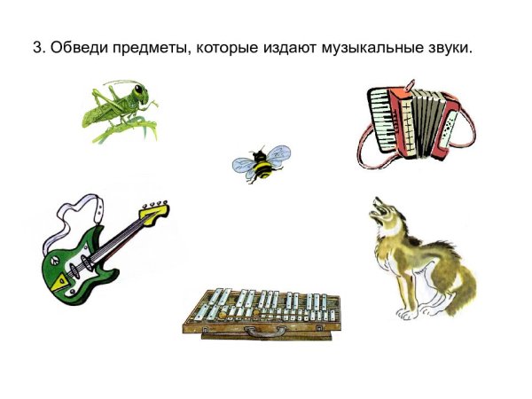 Предметы которые издают звуки