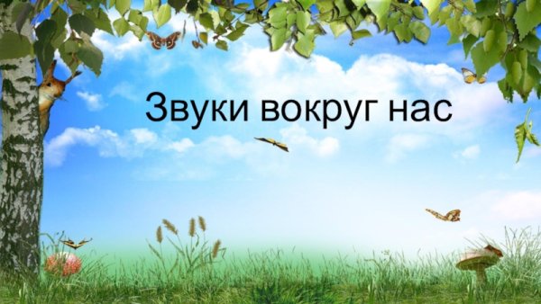 Звук вокруг нас презентация