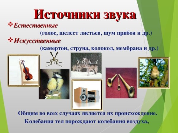 Источники звука презентация