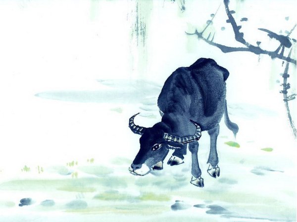 Буйвол китайская живопись