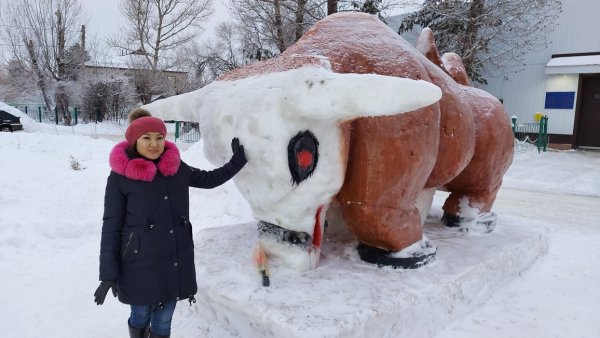 Снежный бык