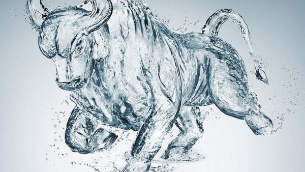 Голубой водяной бык