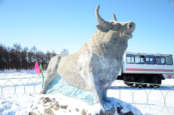 Якутск бык полюс холода