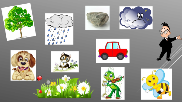 Живые и неживые предметы