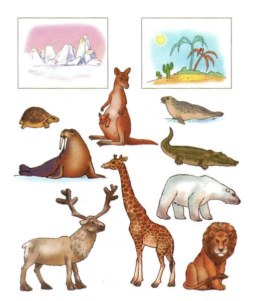 Животный мир задания для дошкольников