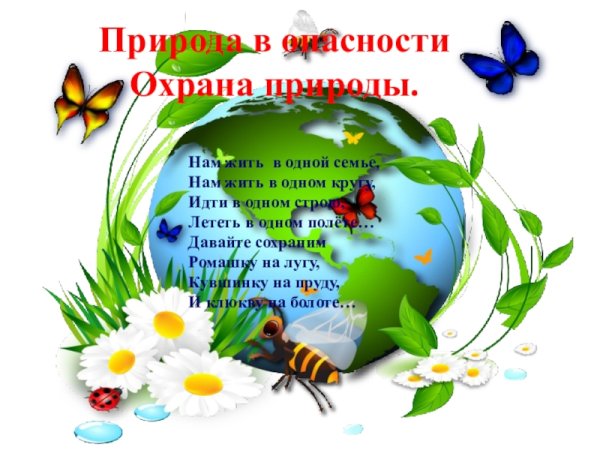 Охрана природы презентация