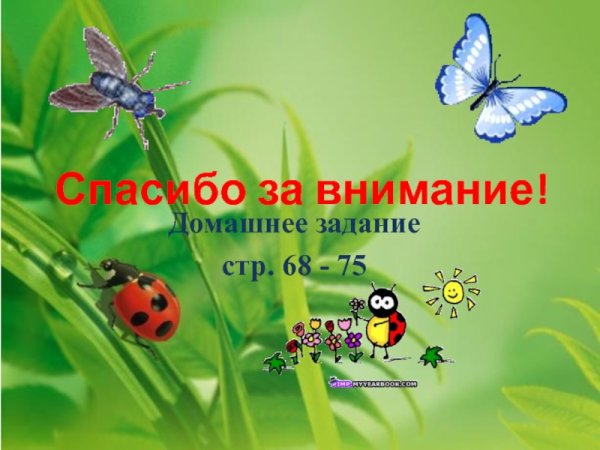 Картинка для проекта по окружающему миру