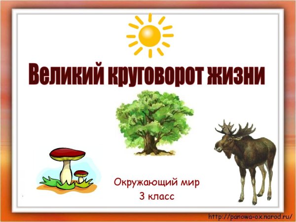 Великий круговорот жизни