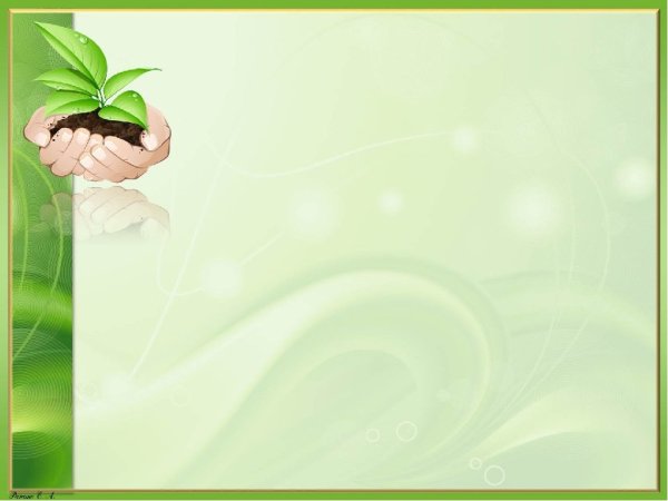 Фон для презентации по экологии в ДОУ