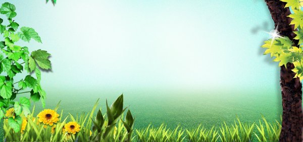 Фон по экологии вертикальный