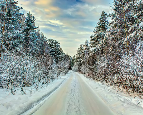Заснеженная дорога в лесу