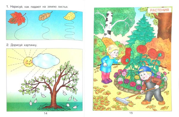 Занятие по окружающему миру