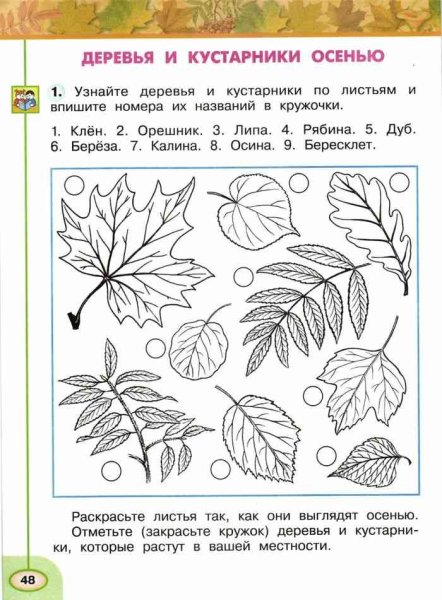 Деревья задания для дошкольников
