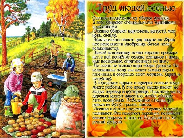 Занятия людей осенью