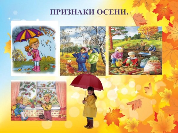 Признаки осени для детей