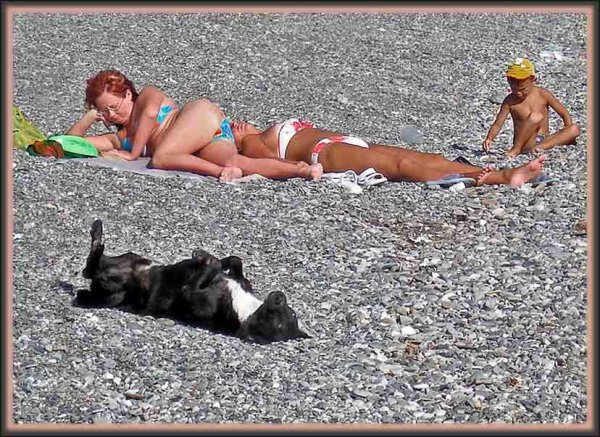 Загар на пляже прикольные