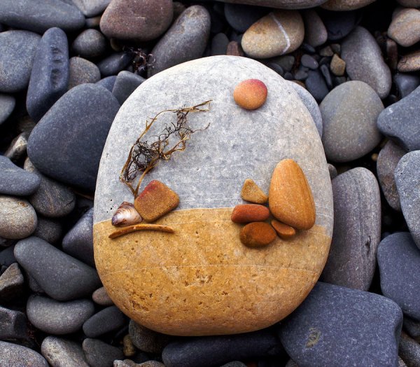 Необычные морские камни