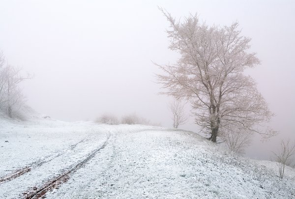 Зимняя пороша
