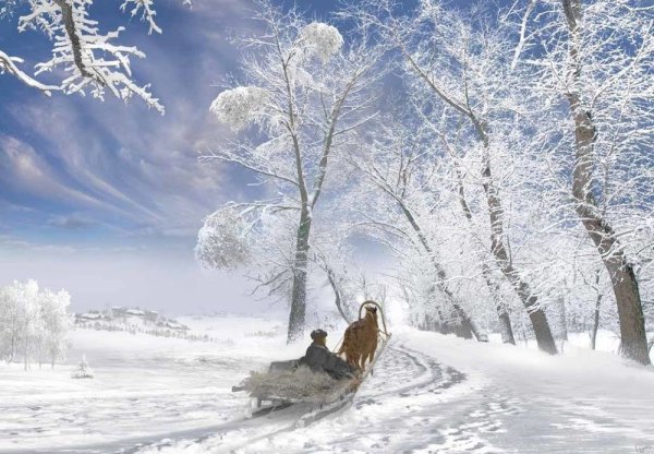 Есенина пороша