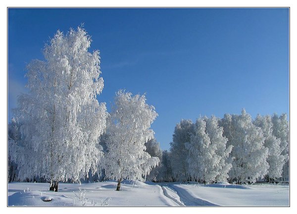 Родная природа зимой