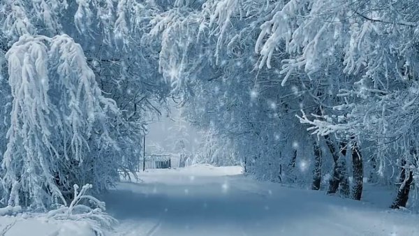 Снежная пороша